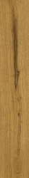 Ao49 20x120 exence amber 20x120