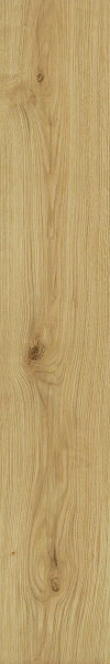 Ao48 20x120 exence almond 20x120