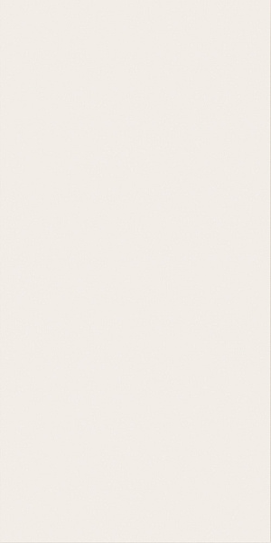 600010002159 3d экспириенсуайт матт 40x80