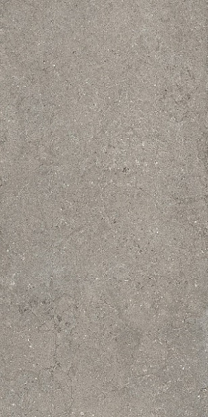 610010002728  дискавер грэй 60x120 рет