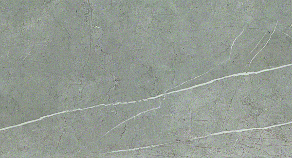 9p5s 30.5x56 marvel silver dream 30.5x56