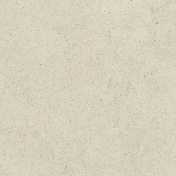 610010004209 форум стоун пьюр 120 рет