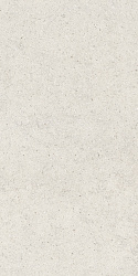 610010004166 форум стоун полар 60x120