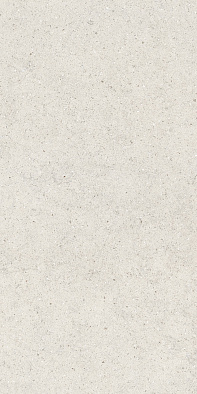 610010004166 форум стоун полар 60x120