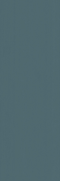 600010001939 элемент силк петролио  25x75