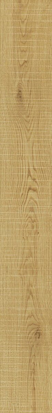 Aoul 18.5x150 exence almond saw cut 18.5x150
