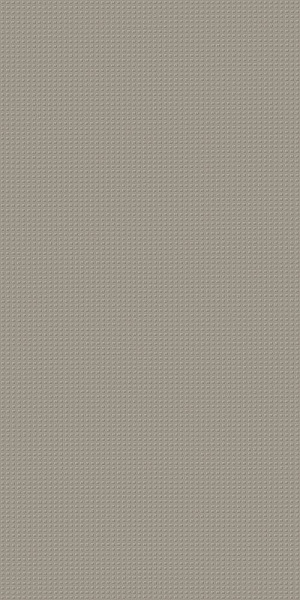 600010002162 рум уолл проджект грэй текстур  40x80