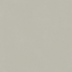 610010004138 форум слим сильвер 80 рет