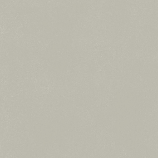 610010004138 форум слим сильвер 80 рет