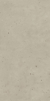 610010005693 ава.даст 60x120 рет