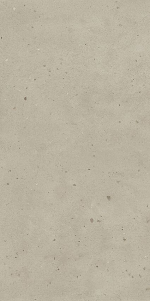 610010005693 ава.даст 60x120 рет