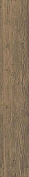 As3p 25x150 axi brown chestnut 25x150 r10