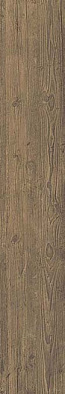 As3p 25x150 axi brown chestnut 25x150 r10