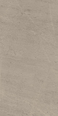 610010001407 w. silver grey rett 60x120-в. сильвер грей 60x120 рет.