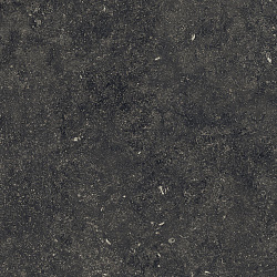 610015000420 рум флор проджект блэк  пат 60x60