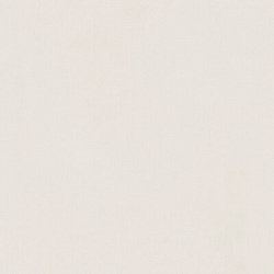 610010004136 форум слим полар 80 рет