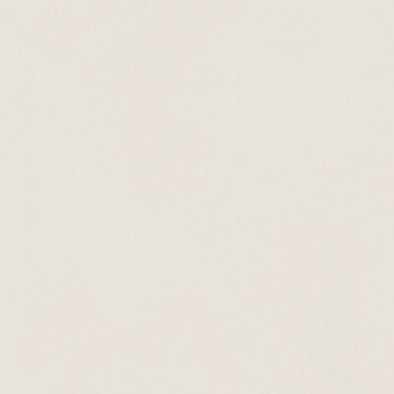 610010004136 форум слим полар 80 рет