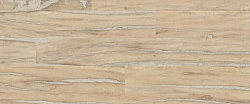 Egnv provenza alter 200 x 1200 9.5 miele