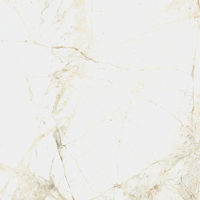 610010005761	canova white 60 ret