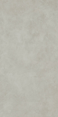 610010004162 форум вэйв сильвер 60x120