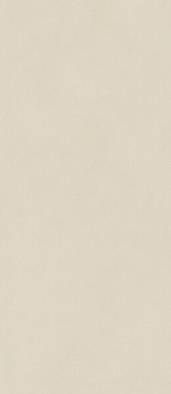 600180000079 форум слим пьюр 120x278