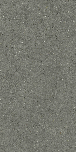 610010004169 форум стоун айрон 60x120