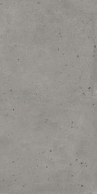 610010005695 ава.айрон 60x120 рет