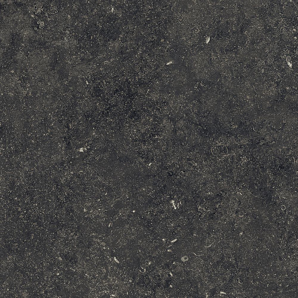 610015000420 рум флор проджект блэк  пат 60x60