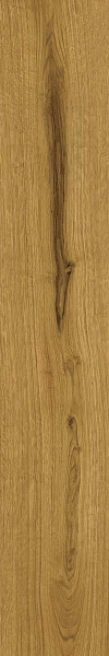 Ao49 20x120 exence amber 20x120