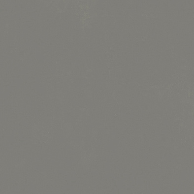 610010004199 форум слим айрон 120 рет