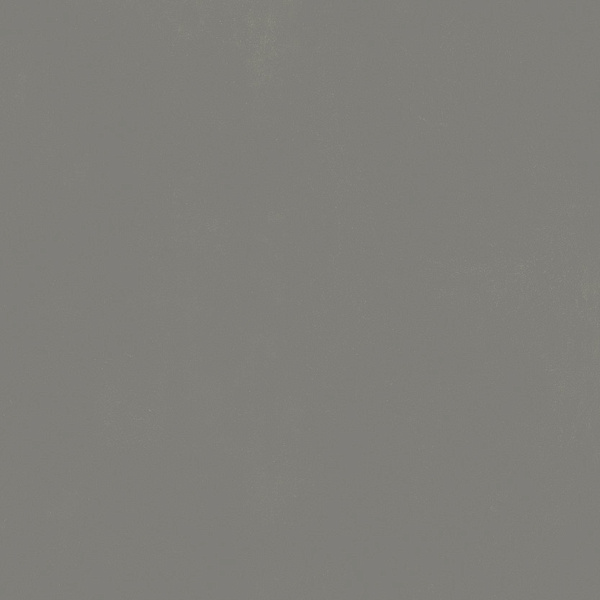 610010004199 форум слим айрон 120 рет