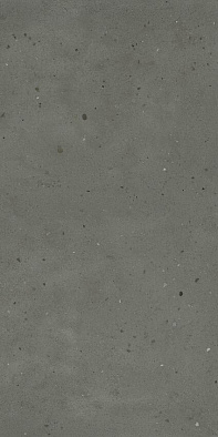 610010005696 ава.блэк 60x120 рет