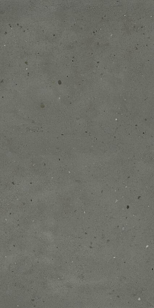 610010005696 ава.блэк 60x120 рет