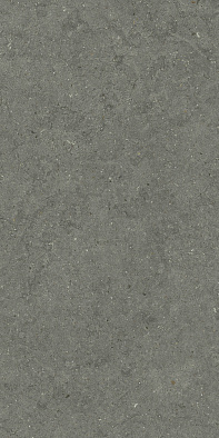 610010004169 форум стоун айрон 60x120