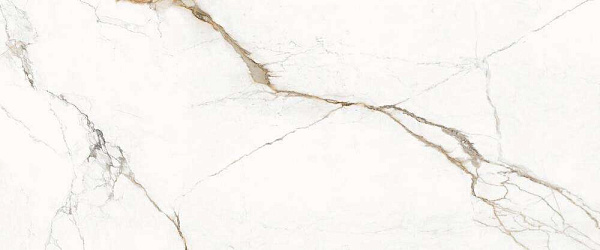 Eksq provenza unique marble 600 x 1200 9.5 paonazzetto  lappato