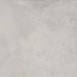 610010001453 миллениум сильвер  рет 60x60