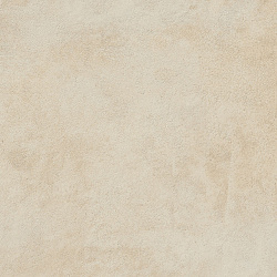 610010001452 миллениум даст  рет 60x60