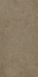 610010004100 фоссил дезерт 60x120 рет