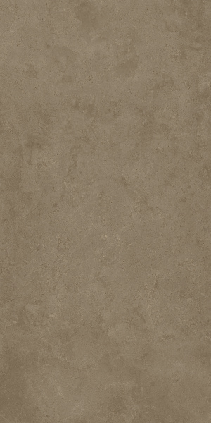 610010004100 фоссил дезерт 60x120 рет
