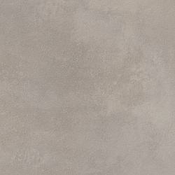 610010001454 миллениум айрон  рет 60x60