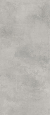 600180000010 миллениум сильвер  рет 120x278