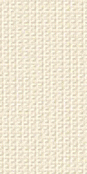 600010002161 рум уолл проджект беж текстур  40x80