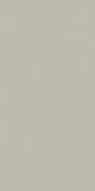 610010004156 форум слим сильвер 60x120