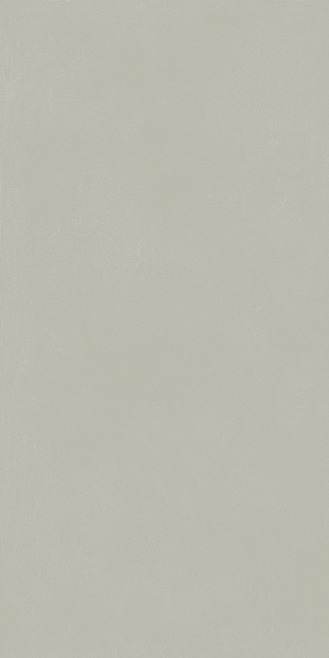 610010004156 форум слим сильвер 60x120