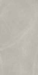 610010002679 континуум сильвер 60x120 рет mq
