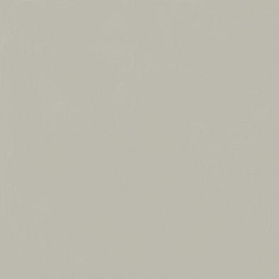 610010004198 форум слим сильвер 120 рет