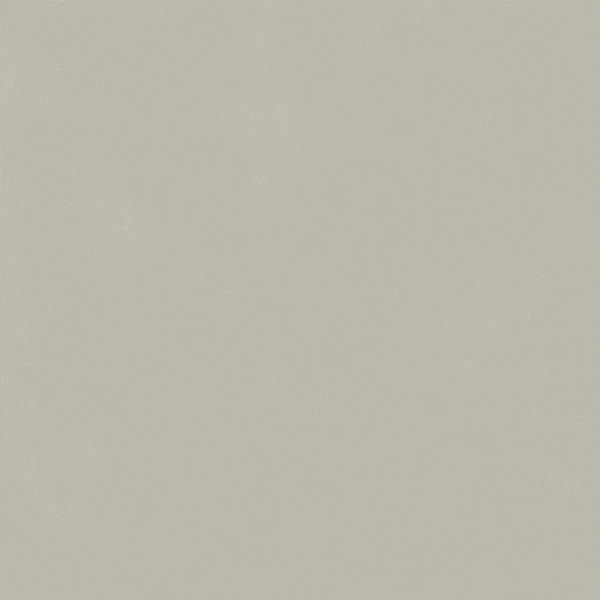 610010004198 форум слим сильвер 120 рет