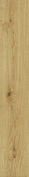 Ao48 20x120 exence almond 20x120