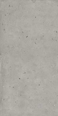 610010005694 ава.сильвер 60x120 рет