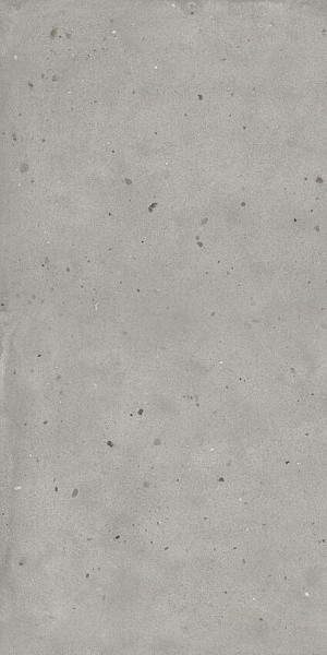 610010005694 ава.сильвер 60x120 рет